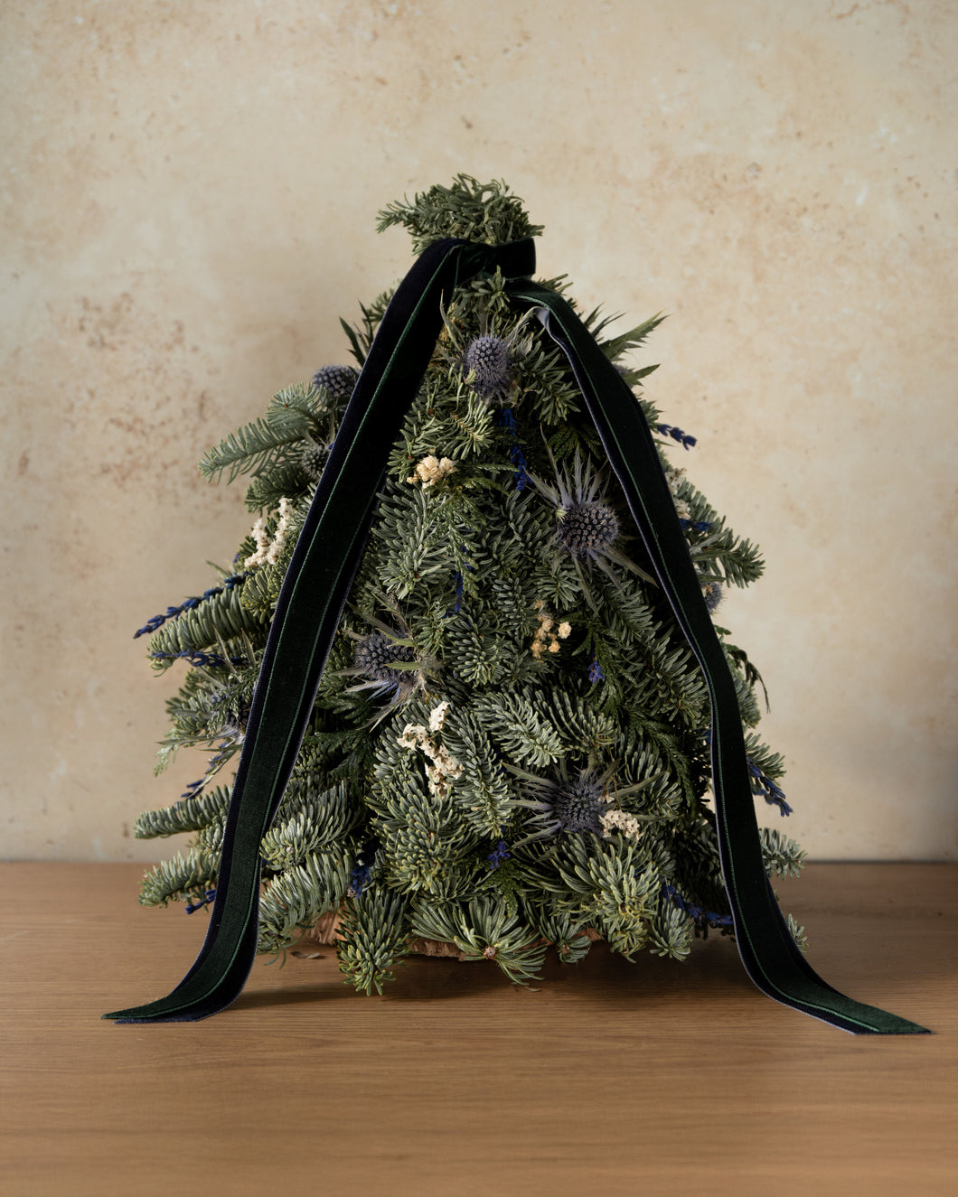 Pinheirinho Esperança